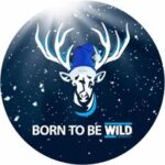 @wild_connect_gmbh