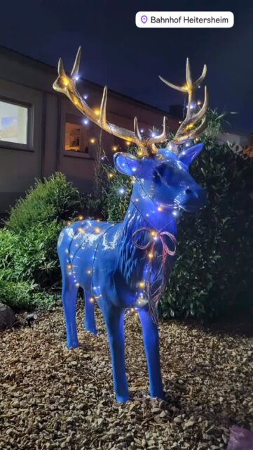 Wir lieben die Weihnachtszeit! Unsere Beleuchtung nimmt Form an und taucht alles nach und nach in festlichen Glanz.
Denn am Ende zählt vor allem eins: Liebe verbindet Herzen – WILD connect alles andere 💙