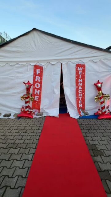 It‘s magic!!🤩🤩🤩🤩🤩🤩 Christmas at WILD ❤️❤️❤️❤️❤️❤️❤️❤️❤️