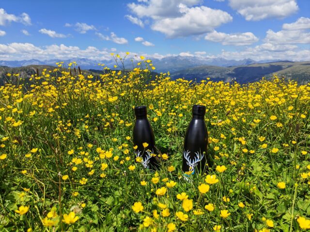 Unsere WILD-Flasche war mit Ágnes und Zsolt auf Tour. 40 Kilometer durch unberührte Natur – auf einer beeindruckenden Mautstraße in der Grenzregion zwischen Kärnten, der Steiermark und dem Land Salzburg.
Danke, Ágnes und Zsolt, für diese tollen Eindrücke! 💙
Our WILD bottle was on tour with Ágnes and Zsolt. A 40-kilometre scenic toll road through untouched nature in the border region of Carinthia, Styria, and Salzburg.
Thank you, Ágnes and Zsolt, for sharing these amazing impressions! 💙
A WILD kulacsunk Ágnes és Zsolt, újra úton volt. Egy 40 kilométeres panoráma fizetős úton, érintetlen természeti környezetben, Karintia, Stájerország és Salzburg határvidékén. Köszönjük, Ágnes és Zsolt, hogy megosztottátok velünk ezeket a csodás pillanatokat! 💙
#WILDConnect #BornToBeWild #WildBottle #teamwild
