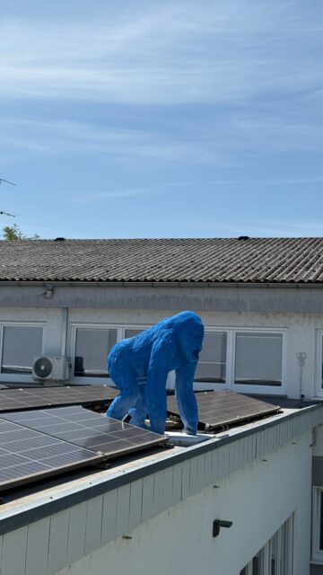 Wir sind „WILD“ und nachhaltig!
Eigener Solarstrom, Elektrofahrzeuge, Recycling, JobRad, energieeffiziente Gebäude und Blühwiesen: Wir setzen auf konkrete Maßnahmen, um Ressourcen zu schonen und Verantwortung zu übernehmen.
Für eine nachhaltige Zukunft – heute und morgen.
We are “WILD” and sustainable
Our own solar power, electric vehicles, recycling, JobRad, energy-efficient buildings and wildflower meadows: We take concrete measures to conserve resources and take responsibility.
For a sustainable future – today and tomorrow
Mi „WILD” vagyunk és fenntarthatóak
Saját napenergia, elektromos járművek, újrahasznosítás, JobRad, energiahatékony épületek és vadvirágos rétek: konkrét intézkedésekkel óvjuk az erőforrásokat és vállalunk felelősséget.
Egy fenntartható jövőért – ma és holnap.
#umwelt #sustainabilty #wild #solar #energy